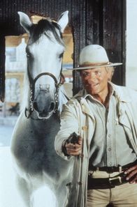 Lucky Luke – Jetzt geht's den Desperados an den Kragen: Lucky Luke (Terence Hill) und sein treuer Begleiter räumen in dem Westernstädtchen Daisy-Town auf ...