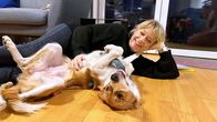 Puls – Puls Gesund mit Hund und Katze – Was Haustiere in uns bewirken Katzenfan Daniela Lager während des Drehs der Sendung mit der quirligen Hündin Maiwa. Copyright: SRF