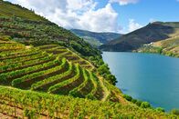 Portugal - Roadtrip von Süd nach Nord – Stockfotografie Terrasse