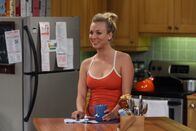 The Big Bang Theory – Fr, 10.10., 11:25 Uhr