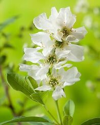 Kuders Gartenparadies – Fr, 30.01., 13:00 Uhr