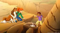 Lassie – Dank Lassie, die die Eule in die Flucht geschlagen hat, kann Harvey (re.) das Kondorbaby aus dem Nest retten.