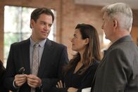 Navy CIS – Ermitteln in einem neuen Mordfall: Tony (Michael Weatherly, l.), Ziva (Cote de Pablo, M.) und Gibbs (Mark Harmon, r.) ...