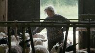Echtes Leben – Echtes Leben (2020)