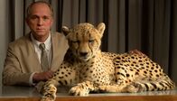 Grzimek – Keine Angst vor wilden Tieren: Bernhard Grzimek (Ulrich Tukur) präsentiert in seiner Sendung eine exotische Wildkatze.