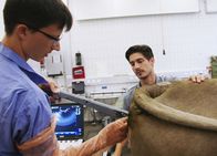 Einstein – Moderator Tobias Müller assistiert einem Arzt im Tierspital