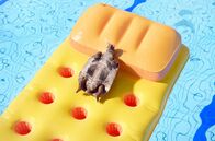 Athleticus – Die Schildkröte entspannt sich im Pool – bis sie von synchronschwimmenden Robben erschreckt wird.