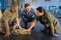 Tierärztin Dr. Mertens – Wolfgang Neubert (Uwe Bohm, M.), Besitzer einer Reptilienshow, will sein Krokodil Nero an den Zoo verkaufen. Er verheimlicht Tierärztin Susanne Mertens (Elisabeth Lanz, r.) allerdings, dass das Tier nicht gesund ist. (Komparse, l.)
