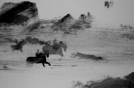 Balentes – Zwei Freunde (Ventura und Michele), die wie Brüder aufwachsen, retten 1940 auf Sardinien Pferde, die zum Kriegseinsatz vorgesehen sind. Nur einer wird überleben.