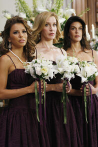 Desperate Housewives – Desperate Housewives (2006)