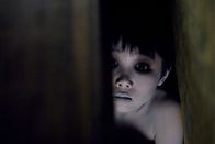 Der Fluch - The Grudge II – Karen konnte dem Fluch, der ihr die Geister einer ermordeten Frau und ihres Sohnes (Ohga Tanaka) auf den Hals hetzte, nicht entkommen. Jetzt scheint sich der Fluch auszubreiten und nach Unbeteiligten zu greifen ...