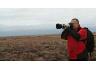 Top Shots – Top Shots Drei Tierfotografen auf Bilderjagd - Wie finden sie die Tiere? Staffel 1, Episode 1 Polarfotograf Heiner Kubny trifft auf eine grosse Herde von Rentieren