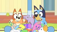 Bluey – Mo, 22.09., 07:00 Uhr