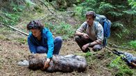 Der Ranger – Pflege für streunenden Wolf: Liza Tzschirner als Emilia Graf, Philipp Danne als Jonas Waldek