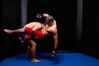 Mixed Martial Arts – Mixed martial art - fight