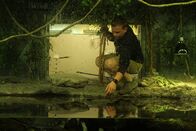 Zoogeflüster – Saul Bauer collects the Temple turtles from their indoor habitat to take them out to their new home at Bird Lake. (National Geographic/Frank Steele)