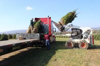 Shipping Wars - Die Transporter – Do, 18.09., 05:20 Uhr