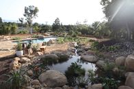 Der Pool-Profi – Pond landscape and vegetation.