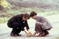 Local Hero – Peter Capaldi, Peter Riegert.