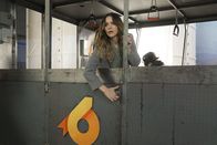 Scorpion – Ausgerechnet, als Paige (Katharine McPhee) mit Happy in einer Gondel festsitzt, sorgt ein falsches Wort zwischen den beiden für Unmut ...