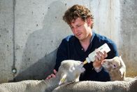 Reporter: Reporter Spezial – Donat Hofer gibt Lämmern ihre Milch.