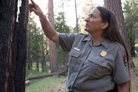 Im Zauber der Wildnis – Feuerwehrchefin Kelly Martin begutachtet die Feuerschäden im Wald.