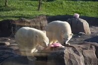 Zoogeflüster – Sa, 13.06., 10:30 Uhr