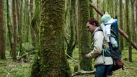 The Hallow – Adam (Joseph Mawle) soll im Auftrag eines Holzkonzerns den Zustand des Urwalds untersuchen. Mit Baby Finn auf dem Rücken macht er sich auf zu ersten Erkundungsgängen unter die düsteren alten Bäume.