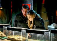 CSI: Vegas – CSI: Vegas (2014)
