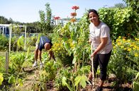Garten und lecker – Zum Finale geht es in den Interkulturellen Gemeinschaftsgarten nach Lahr im Schwarzwald. Hier gärtnert die heutige Gastgeberin Sugirtha Navarathinam (r) gemeinsam mit 25 anderen Menschen. Auf ihrer Parzelle baut sie vor allem Nutzpflanzen aus ihrer Heimat Sri Lanka an: Bittergurken, besondere Bohnen und Auberginen.