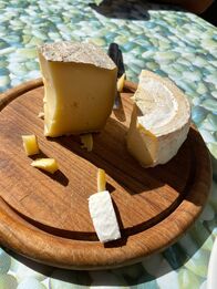 Der Geschmack Europas – Bergkäse auf der Pesci Alm.