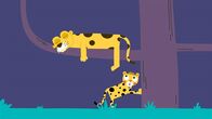 Animanimals – Mit seinem Schwanz um den Ast gewickelt, hält sich der Leopard fest.