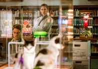 Limitless – Brian (Jake McDorman, l.) steht vor einem Problem, denn Rebecca (Jennifer Carpenter, r.) steht kurz davor, die Machenschaften von Senator Morra aufzudecken ...