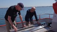 SMS - Schwanke meets Science – Dr. Martin Wessels (links) vom Institut für Seenforschung in Langenargen zeigt Karsten Schwanke einen Sedimentbohrkern vom Grund des Bodensees aus 160 Metern Tiefe. Damit rekonstruiert der Forscher die Geschichte des Sees.