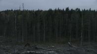 Border – Do, 24.02., 23:45 Uhr