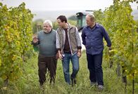 Der Winzerkönig – (v.li.): Hermann Scheidleder (Karl Grubmüller), Achim Schelhas (Paul Plattner), Harald Krassnitzer (Thomas Stickler).
