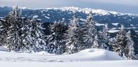 Aus dem Leben - Die Reportage: Alpen-Ranger - Auf Patrouille im Paradies – Winterlandschaft der österreichischen Alpen mit Bäumen, schneebedeckten Gipfeln und blauem Himmel vom Wanderweg in der Nähe des Steinriegels in den Fischbacher Alpen in der Steiermark