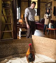 Elementary – Holmes (Jonny Lee Miller, l.) nötigt Watson (Lucy Liu, r.) dazu, sein neuestes Privatprojekt in Augenschein zu nehmen: Er kümmert sich um einen alten Kampfhahn, der für verbotene Wettkämpfe missbraucht wurde, und versucht, ihn wieder aufzupäppeln ...