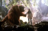 Reise ins Labyrinth – labyrinthe_K_00000000000000094659