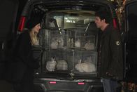 How I Met Your Mother – Als Ted (Josh Radnor, r.) die sympathische Zoey (Jennifer Morrison, l.) kennenlernt, ist er gleich hin und weg von ihr, doch leider verläuft nicht alles nach Plan ...
