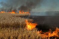 Hunger als Waffe - Russlands Getreidekrieg – Brennendes Weizenfeld in der Ukraine (Aufnahme vom 3. Oktober 2022)