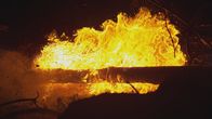 Die Macht der Elemente – Feuer ist ein wichtiger Bestandteil vieler Ökosysteme.