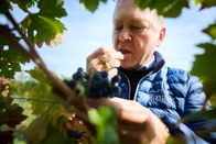 Winzerlegenden – Fritz Wieninger
