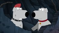 Family Guy – Brian