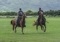 Hawaii Five-0 – Joe White (Terry O'Quinn, l.); Steve McGarrett (Alex O'Loughlin, r.)