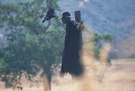 Jeepers Creepers 2 – Der Creeper (Jonathan Breck) erwacht jeden 23. Frühling für 23 Tage um zu fressen.