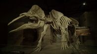Faszination Urzeit - Verlorene Welten – Große Verlierer: Beim letzten von fünf Massenaussterben verschwanden die Dinosaurier von der Erde.