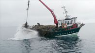 Maritimes Erbe – In den Gewässern um die Insel Ouessant werden Algen geerntet.