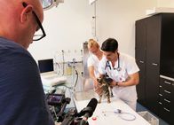 Einstein – Einstein «Einstein» im Tierspital Dreharbeiten im Tierspital: Assistenzärztin Kathrin Nabholz untersucht mit Tobias Müller eine Katze