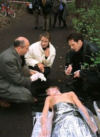 Im Namen des Gesetzes – Im Namen des Gesetzes (1998)